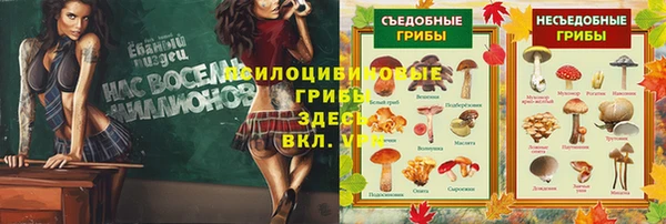 мет Абинск